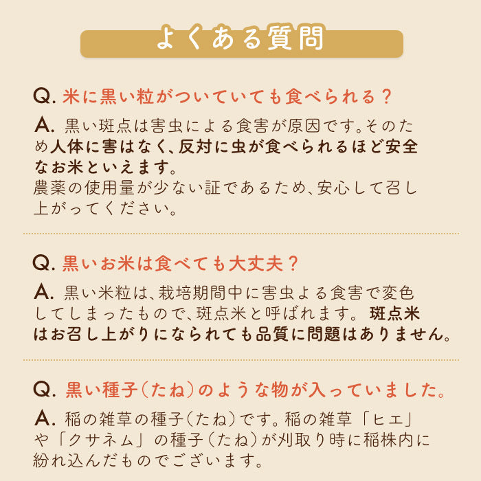 (定期)玄米麹