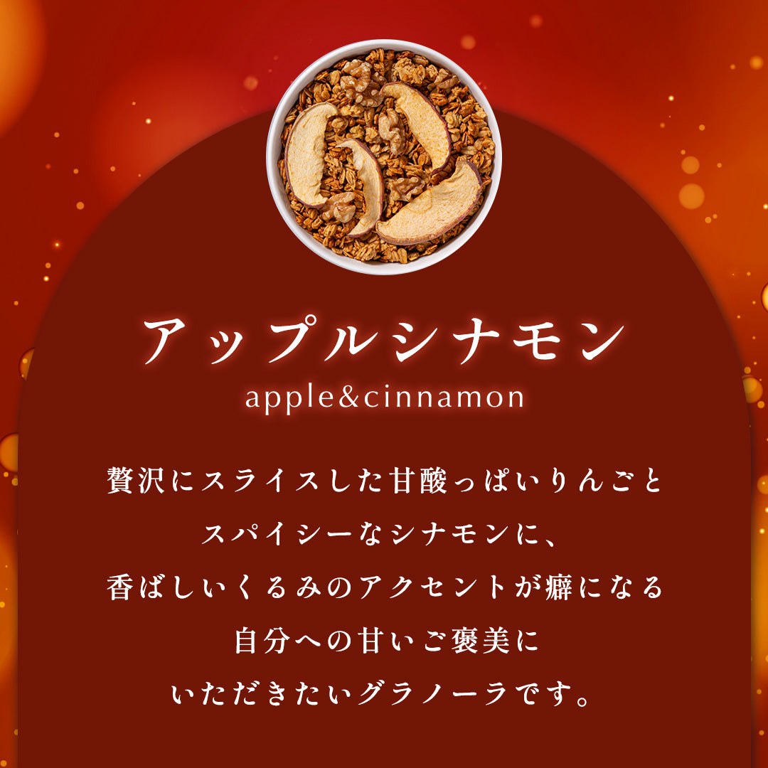 【11/20 17時~発売】冬季限定 シュトーレン/アップルシナモン