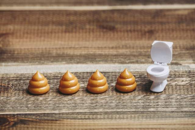 食物繊維を多く摂るとうんちの量が4倍になる！？ | フードコスメORYZAE