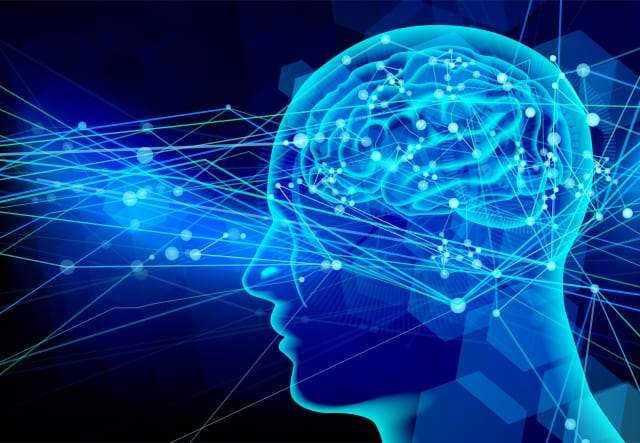 脳腸相関とは？なぜ脳腸相関が大切なのかも解説！ | フードコスメORYZAE