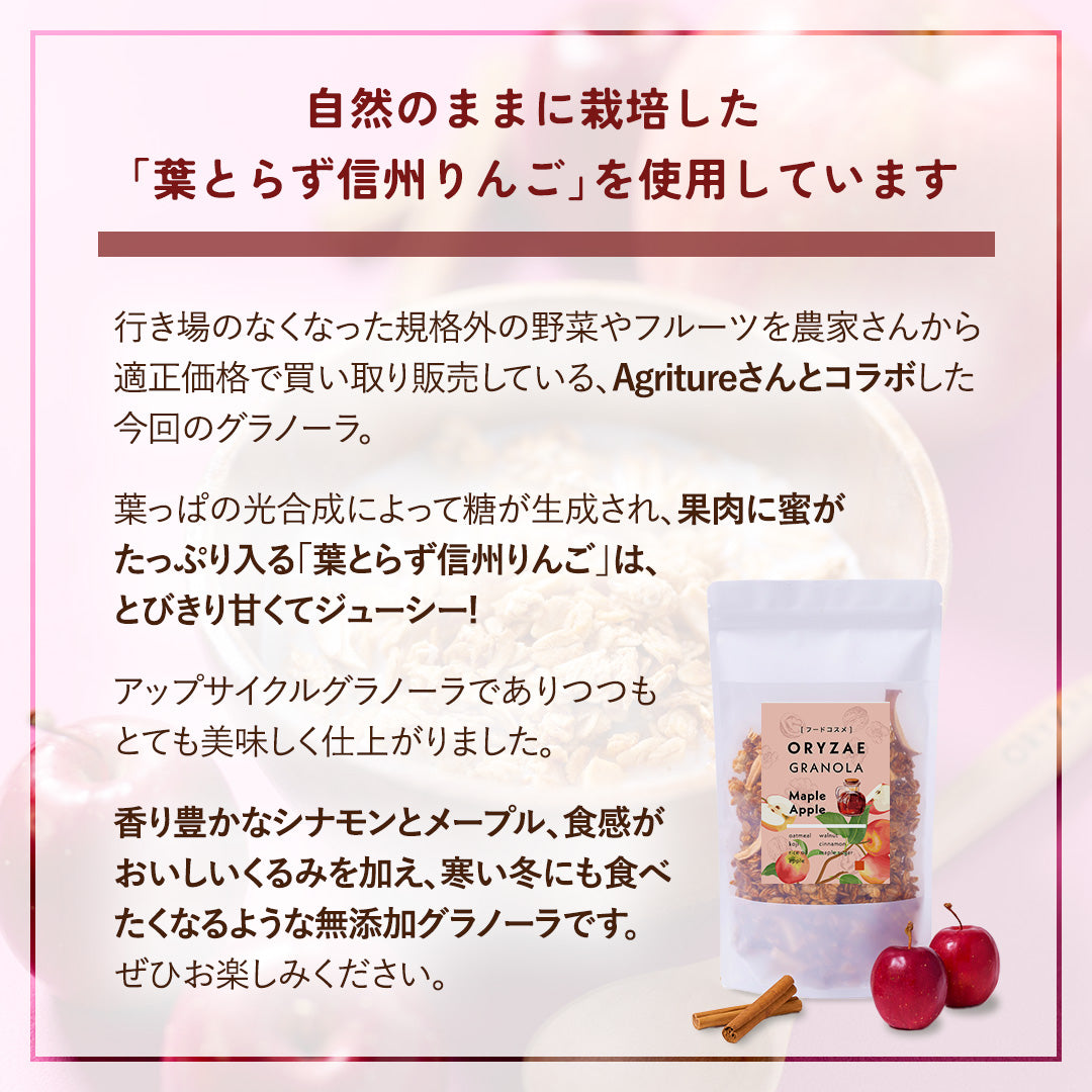 【期間限定・コラボ商品】メープル＆アップル