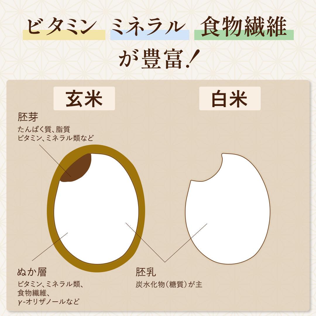 【40%OFF SALE中！】塩麹玄米パック