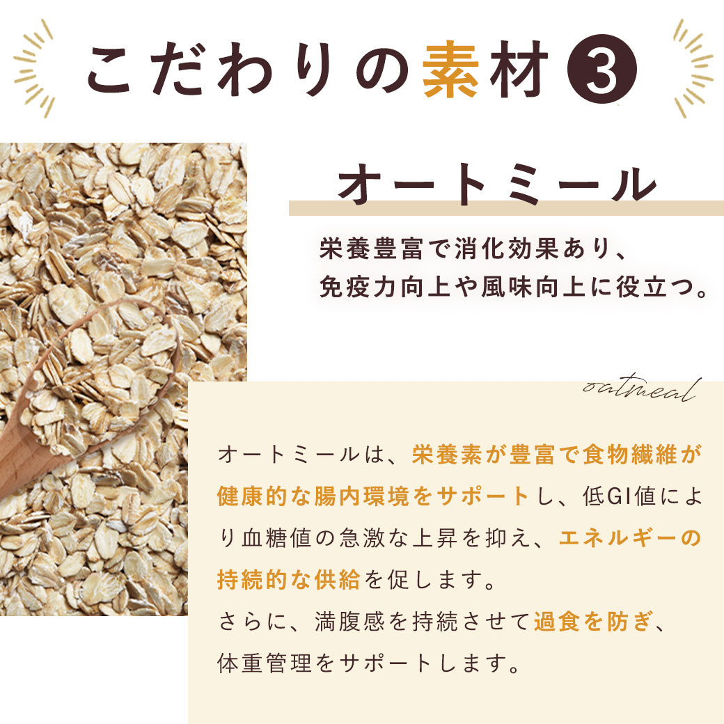 【大容量サイズ】PROTEIN | プロテイン(ココア)