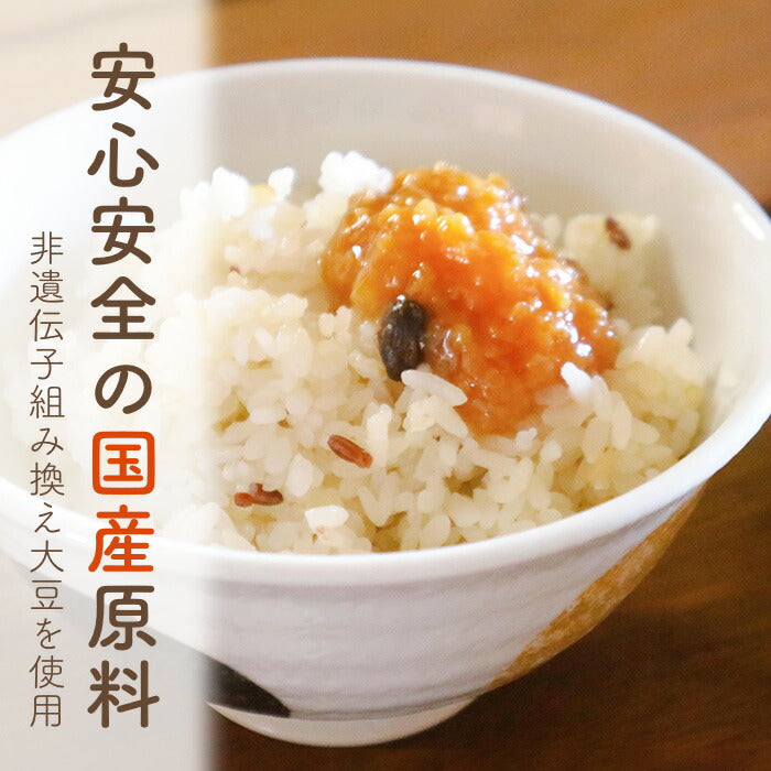 【10月賞味期限のため10%OFF】発酵生ふりかけ‐OTOMO-
