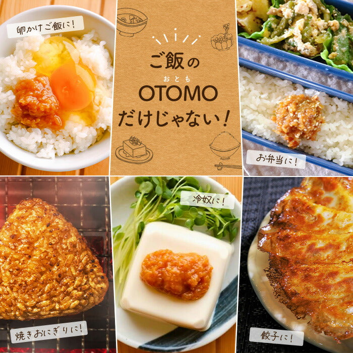 【10月賞味期限のため10%OFF】発酵生ふりかけ‐OTOMO-
