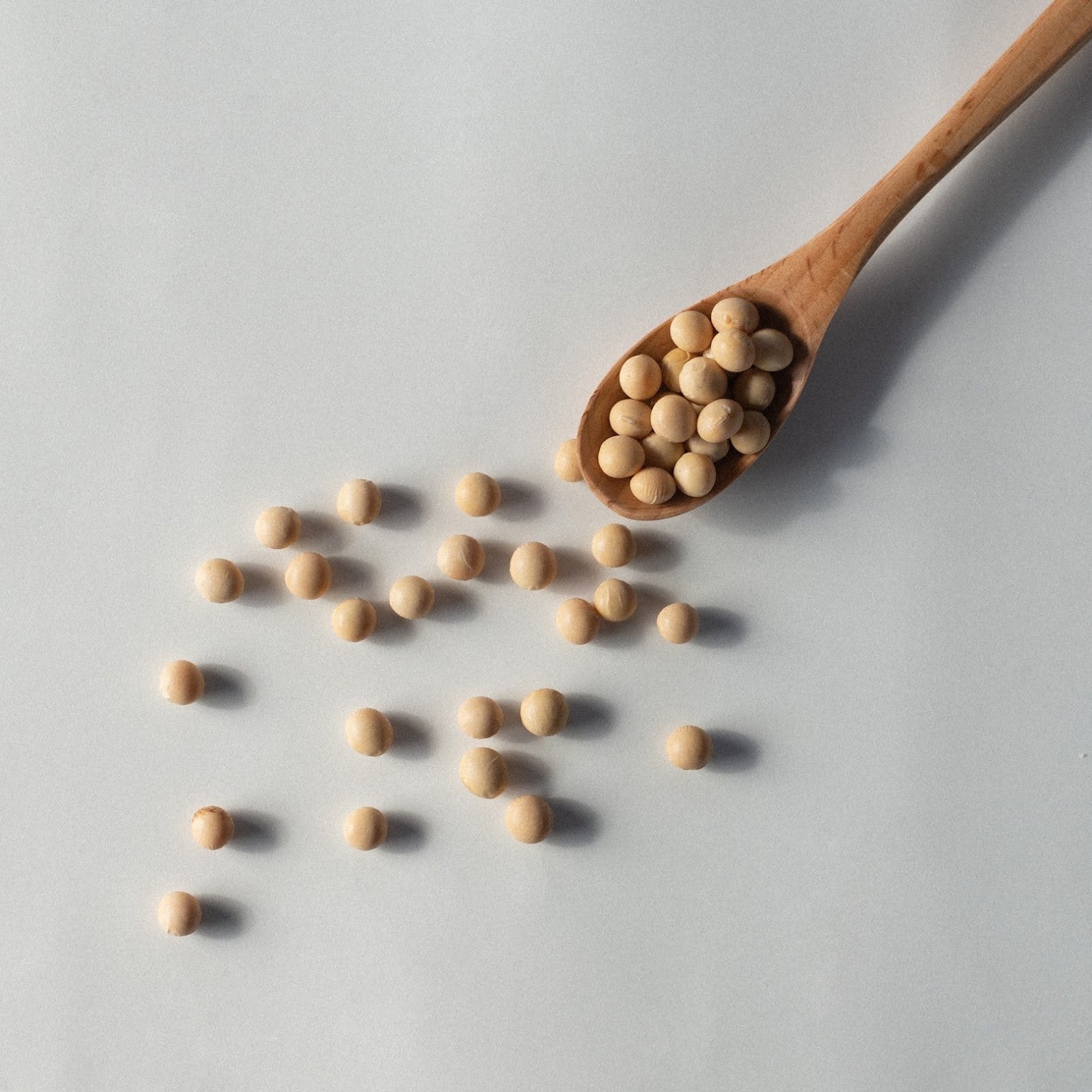 【定期便用】SOY | 醤油糀 - ORYZAE